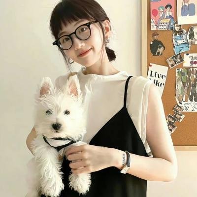 挎斗摩托车里的狗